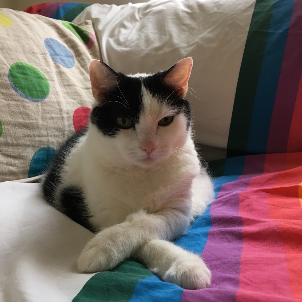 Meet your Posher, Beth